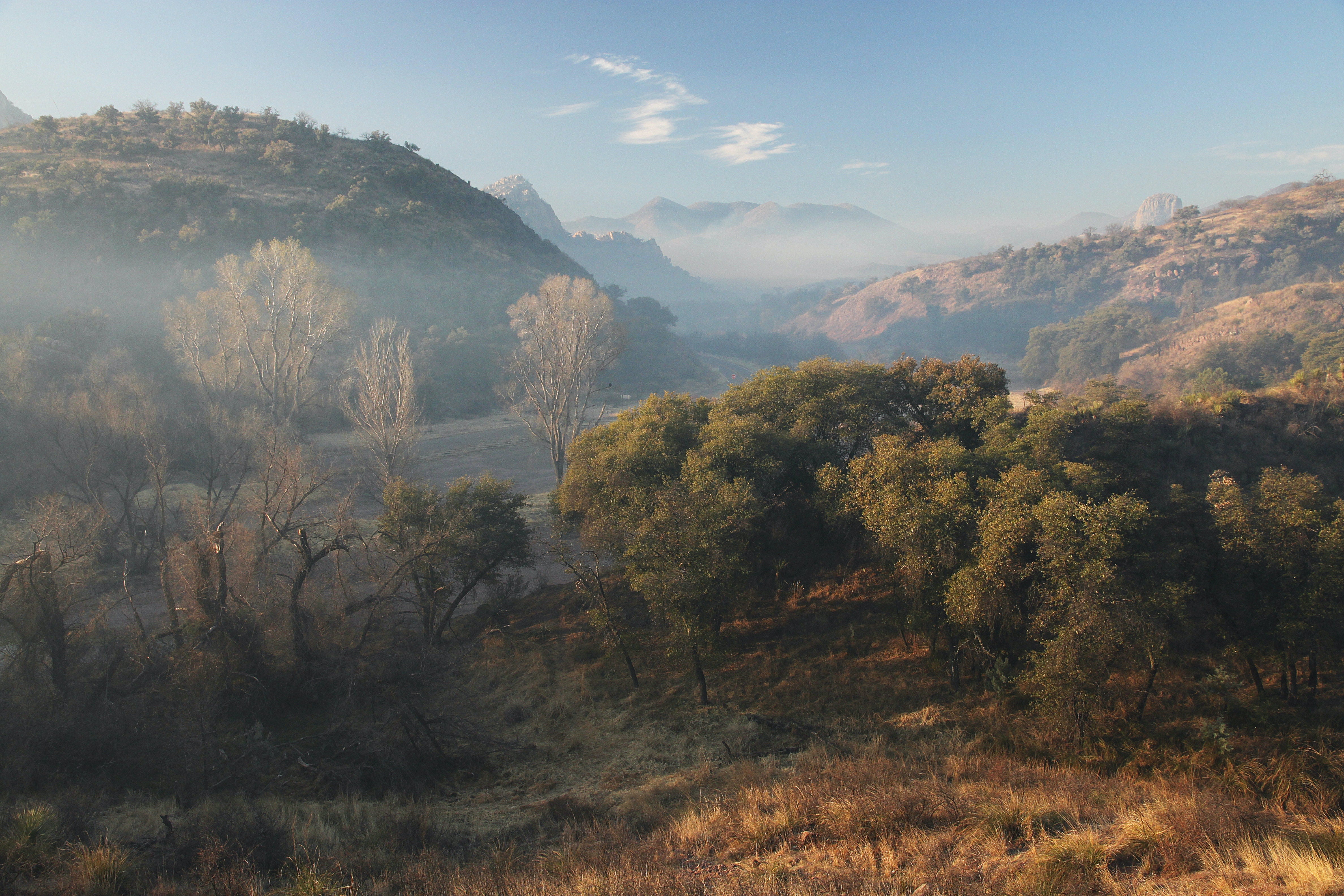Misty hills in nature