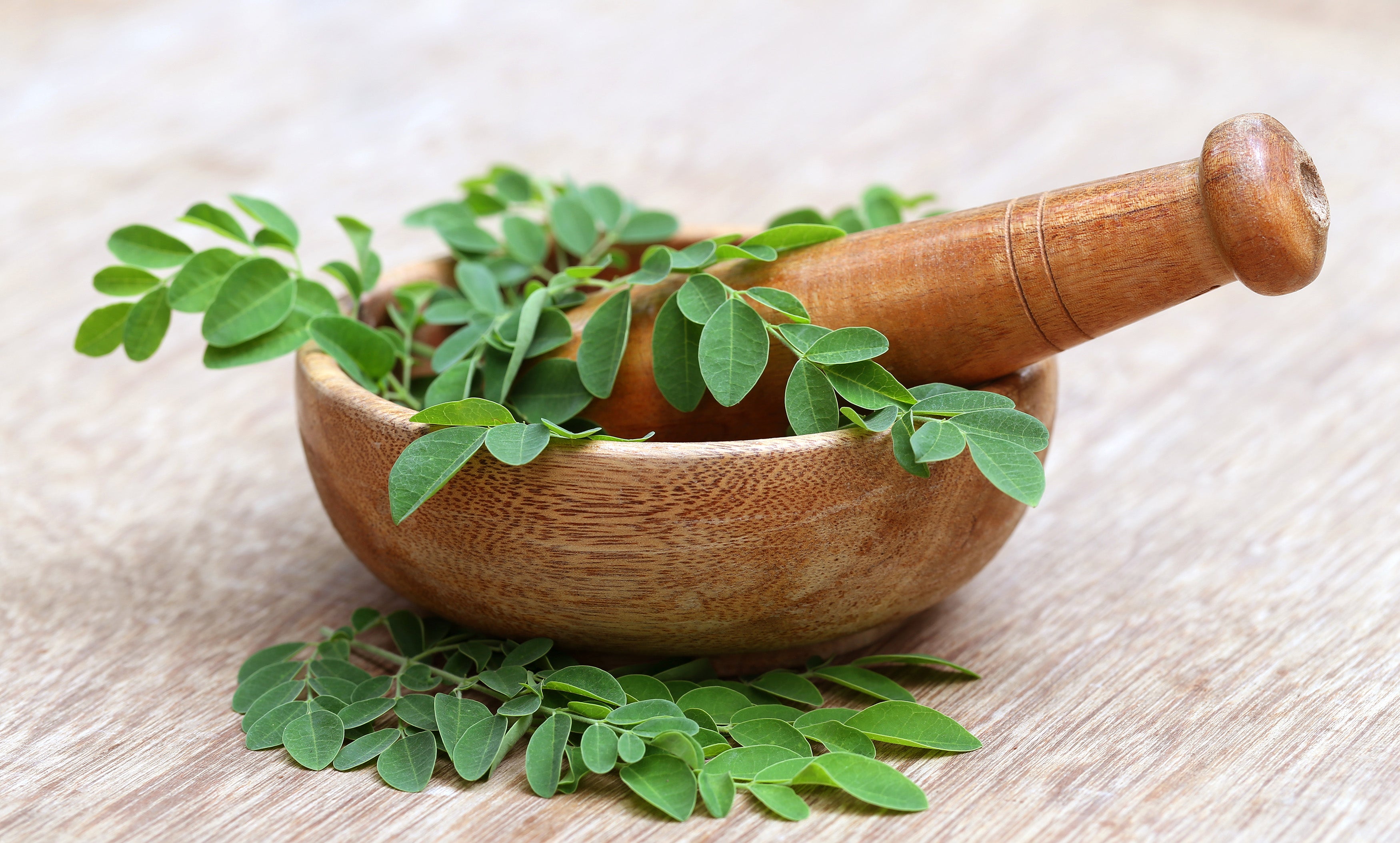 Moringa leaves